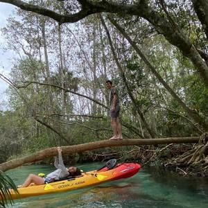 Meet your Posher, Hunter